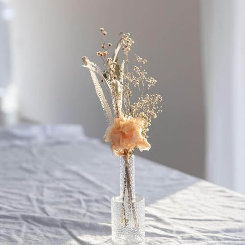 Lykke & You Trockenblumenstrauß Tischdeko apricot Größe 20 cm, Verpackungseinheit 4X, Farbe apricot