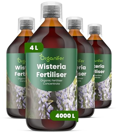 Fertilizzante Liquido Per Glicine - 4x1L - NPK 2-1-8 | Concime Per Fioritura Elegante E Fogliame Sano - Rafforza Radici E Crescita Sana - Organifer