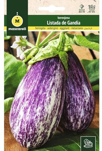 Mascarell Semillas, BERENJENA, Semillas Huerto, BERENJENA LISTADA DE GANDIA, Crea tu Propio Huerto Urbano y Cultivo en Casa, Plantas Hortícolas, 2 Gramos