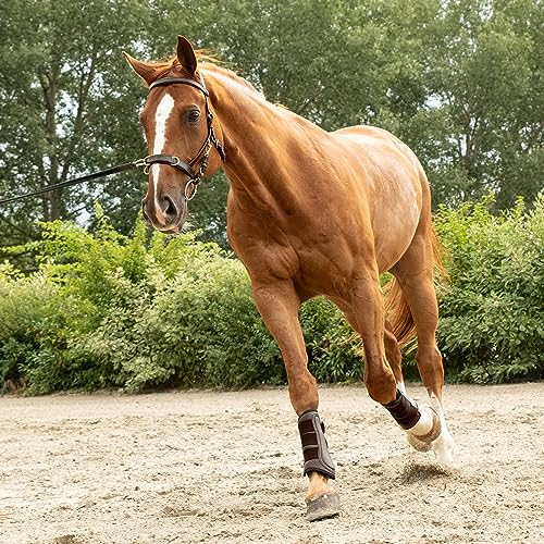 SUNRIDE Kappzaum aus Echtleder - mit Zügel - sanfte Führung für eine harmonische Verbindung (Cob, braun)