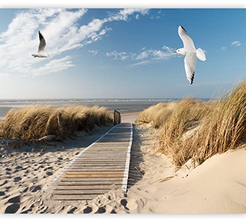 murando Fototapete selbstklebend Meer Strand 294x210cm Foto Tapete Tapetenfolie Möbelfolie Wandverkleidung Wandtapete Motivtapeten Bildtapete Wohnzimmer 3d Effekt Modern Möwen Vögel Landschaft