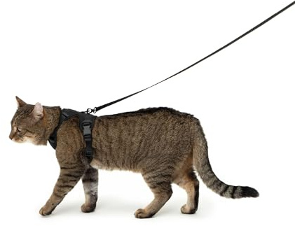 LucyBalu® Explorer Kattsele med koppel | okrossbar kattsele med AirTag fack | katter bröstsele med kattkoppel | säkerhetssele med koppel för katter | svart M/L