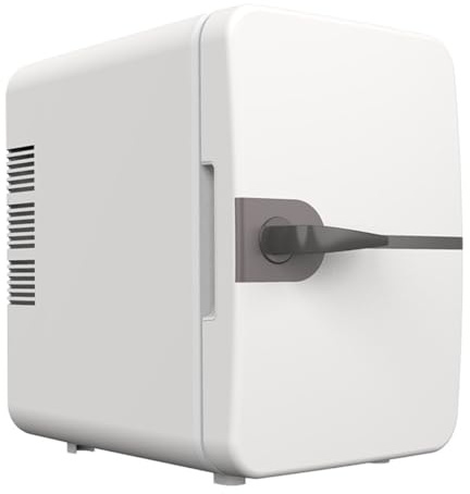 Mini Frigo De Chambre Rose 6 Litres Mini Réfrigérateur De Voiture , Petit Frigo Cosmetique Avec Compartiments, Refroidisseur Et Réchauffeur, Pour La Chambre, Le Bureau(Color:/White,Size:With handle)