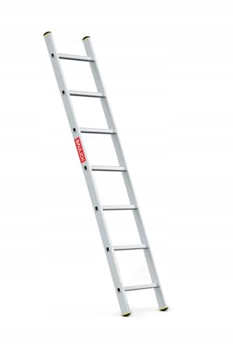 BAULICH - Scala In Alluminio - 1x7 - Professionale, per la Casa, il Giardino, I Lavori di Ristrutturazione, la Fattoria, Piedini Antiscivolo, Pioli Scanalati, 2,7kg, con Gancio