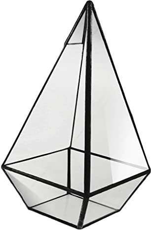 Luzhengyang Geometric Glass Pyramid Terrarium Box, Tabletop Succulent Planter,