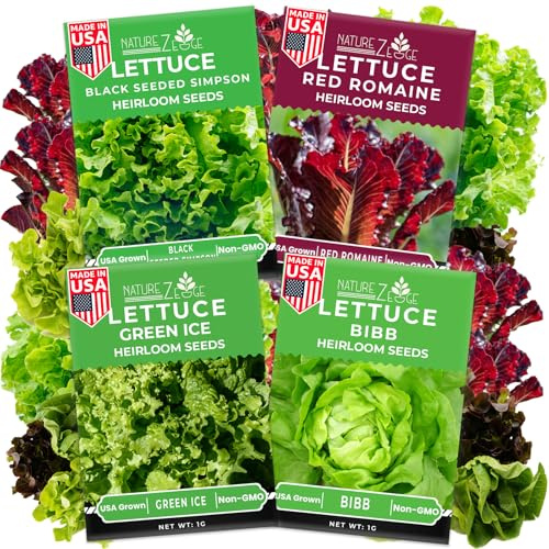 NatureZ Edge Lettuce Seeds for Planting, 4 Popular Varieties Non-GMO Heirloom Seeds, Red Romaine, Bibb Butter, Black Seeded Simpson, Green Ice Lettuce, Romaine, Salad Lettuce, Hydroponic Garden, USA
