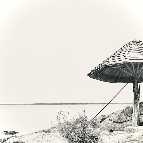 we're all beach scones