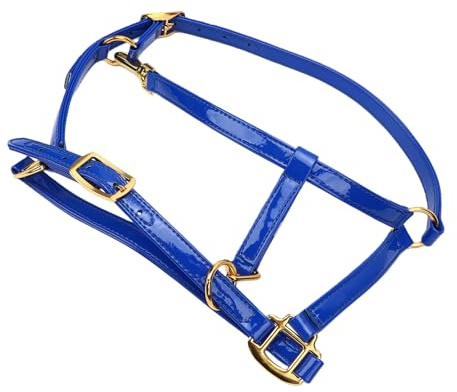 AMONIDA Brida de Caballo de 20 Mm, Correa Reforzada Hermética de Cuero Sintético Brillante, Correa de Doble Capa con Hebillas de Aleación de Zinc, Ideal para Competiciones de Entrenamiento de la