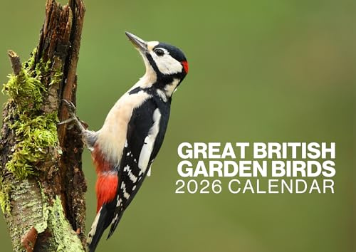 Bird Calendar 2026, Great British Garden Birds Wildlife Wall Calendar 2026. Large 12 Month, Month to View with Notes & Checklist Pages, UK Made by Our World