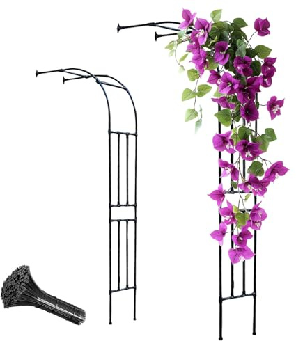 Rankgitter für den Garten, Metall, halbe Seite, Wandmontage, 60300 cm, elegante Outdoor-Gartenlaube für Kletterpflanzen, langlebiges Halbbogen-Design, perfekt für Gartendekoration