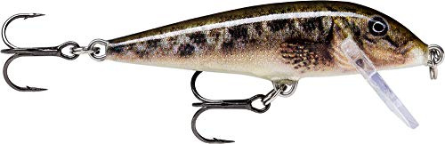 Rapala - Countdown Angelköder - Angelzubehör aus Balsaholz - Süßwasser Spinnköder - Lauftiefe 0.9-1.8m - Fischköder 5cm, 5g - Hergestellt in Estland - Live Rainbow Sculpin