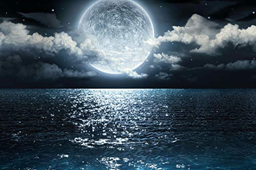 AYSUNJIE Puzzel Für Erwachsenen Puzzle 1000 Teile Kind Puzzles Aus Holz-Mond Über Dem Meer-Geschenk Wohnkultur Modern Festival DIY Geschenk Intellektuelles Spiel 75X50Cm