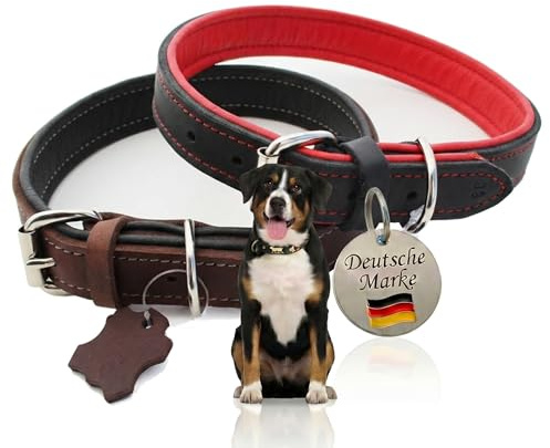Activity4Dogs Hundehalsband Leder M1 2,5cm breit – Echtleder Halsband gepolstert für mittelgroße Hunde – Made in Germany – Robustes Rindsleder & weiches Nappaleder – 5-Fach verstellbar 36-42cm