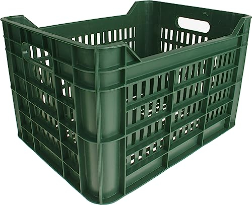 AMIGO Fahrradkiste 30 Liter - 100% recycelter Kunststoff - Dunkelgrün
