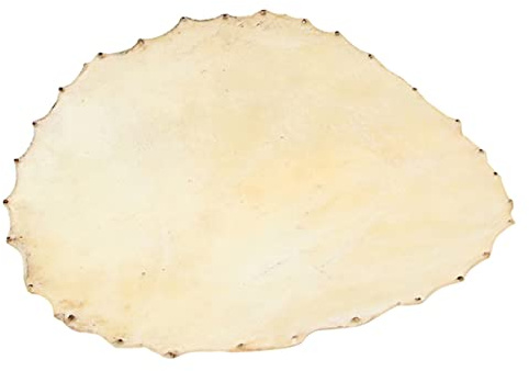TOYANDONA 5St Trommelhaut Trommelfelle aus Leder Austausch von Schlagwerkteilen Trommelbeschläge Drum-Zubehör Trommelabdeckung Sanft Komponente Bongo Djembe Musikinstrument Schaffell