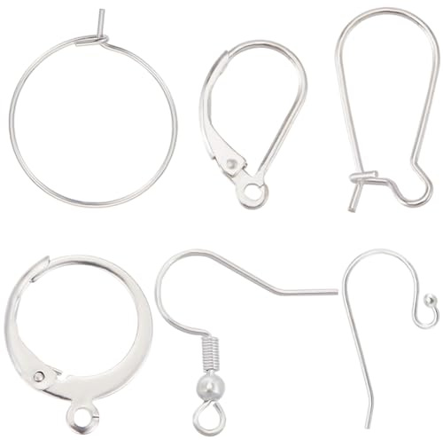 Beebeecraft 1 Scatola 120 Pezzi 6 Stili 304 & 201 & 316 Ganci per Orecchini Francesi In Acciaio Inossidabile Chirurgico Pesce Palla Estremità Fili per Orecchie Renali Risultati per Orecchini A Leva