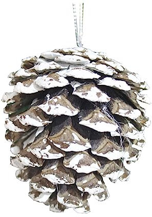GOOHOCHY 30stücke Teiliges Weiße Matte Natur-zapfen Getrocknet Und Echt Dekohänger Für Weihnachtsbaum Vielseitige Pflanzenornamente DIY Bastelmaterial Natürliches Mikro-landschaftsdekor Pac