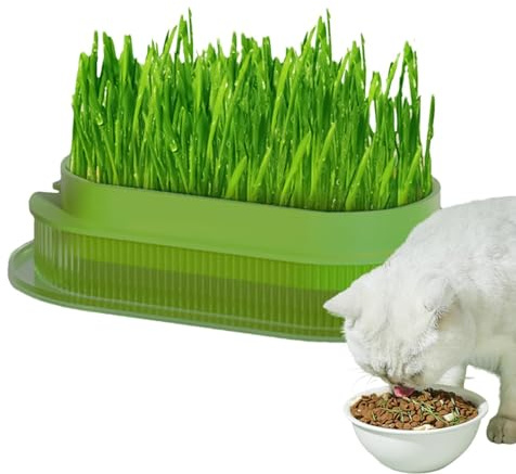 Katzengrasbehälter – Graspflanzbecken, Grasanbaubehälter | Katzenkräuter-Pflanzgefäß Im Transparenten Box-Design, Geruchsfrei, Haustiergras, Kittys Kräuterkultivator, Durchsichtiges Katzengras-Tablett