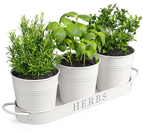 Barnyard Designs Herb Pot Planter Set with Tray for Indoor Garden or Outdoor Use, Decorative White Metal Succulent Potted Planters for Kitchen Windowsill