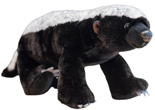 Giocattolo di peluche di tasso di miele modello di animale africano realistico giocattolo educativo giocattolo di peluche per bambini e adulti tasso di miele giocattolo di peluche Kimiko
