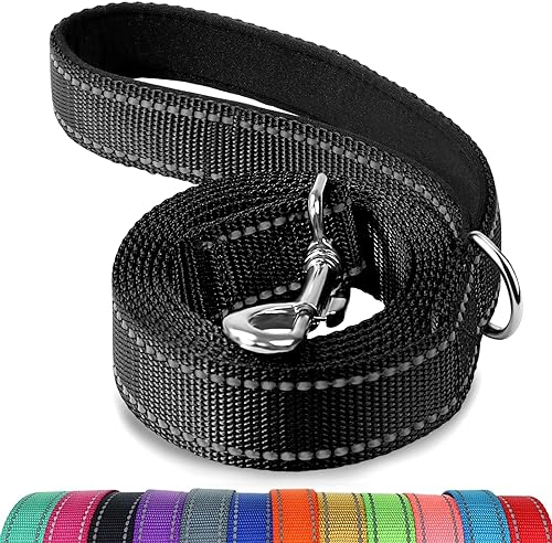 Joytale Hundeleine Kleine Hunde Leicht, Doppelseitig Reflektierende Leine Hund aus Nylon mit Gepolstertem Griff, 1,8m x 2cm, Schwarz
