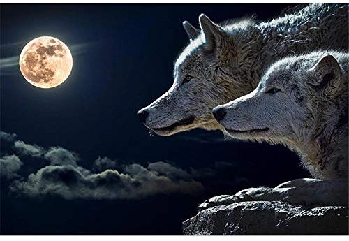 Puzzle 5000 Teile,Zwei Wölfe liegen auf dem Felsen Puzzle für Erwachsene,Impossible Puzzle, farbenfrohes Legespiel,Geschicklichkeitsspiel für die ganze Familie,Erwachsenenpuzzle ab 14 Jahren-61.61x41