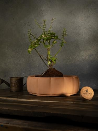 Village Decor Vaso per bonsai di forma rotonda in terracotta, diametro 20,3 cm