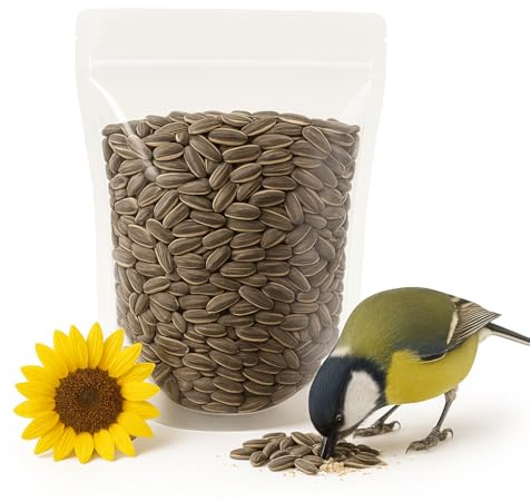 Crazy Nuts | USA Grown Raw Sunflower Seeds In Shell, 5lb | Unsalted sunflower seeds for birds and for Eating