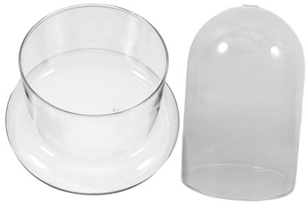 SEWOART Vase en Verre avec Mousse pour Décoration De Maison Ou De Bureau