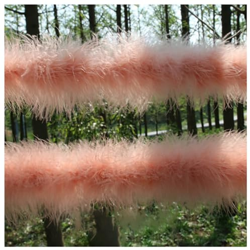 BrightGlow Flauschige Federboa Turkey Feather Boas DIY Handgemachte Kunstpelzband Künstliche Fellborte Marabu-Boa zum Basteln Dekoband für DIY Kostüme Zubehör Hochzeit Party #11 Champagner 2 M