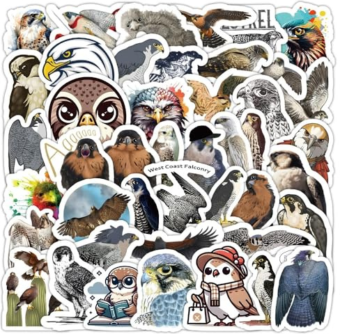 50 Pcs Falcon Stickers Laptop Car Scrapbook Phone Skateboard Suitcase Luggage Bike Eagle Vinyl Waterproof Aesthetic Personalised Stickers for Teens Boys Girls Adults
