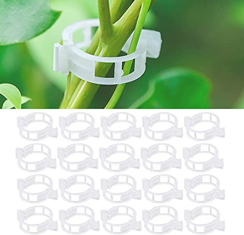RoadLoo Pflanzenclips,300Stk Pflanzenklammern Tomatenclips Kunststoff Tomatenklammern für Kletterpflanzen Pflanzen Clips Blumen klammern für Gemüse Tomate Pflanzen Befestigung