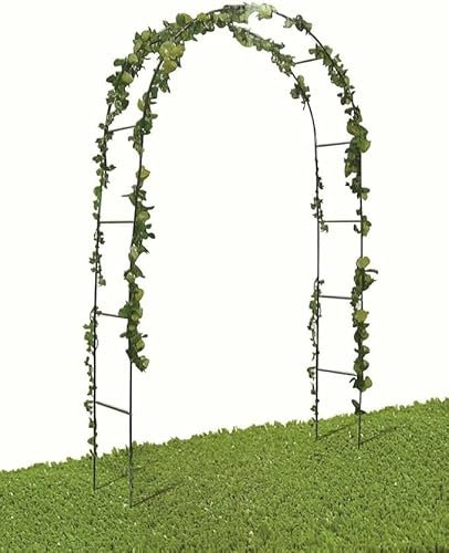 FERCASASHOP - Arco per Rose, Rampicanti, Decorazione da Giardino, Sostegno per Piante, Supporto in Metallo,140x38x240 cm, Colore Verde