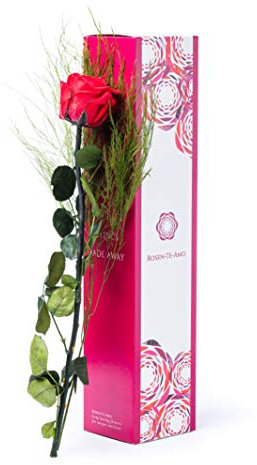Rosen-Te-Amo Haltbare ewige Blume mit konserviertem Bindegrün und Grußkarte zum Herunterladen; Infinity Rosen - Deko und Geschenk in neue verstärkte Verpackung