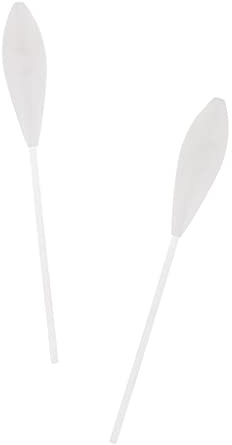 2 Stück Bombarda (schwimmend 2,6 G, 3 G, 4 G) Zum Karpfenangeln auf Forellen Und Barsche
