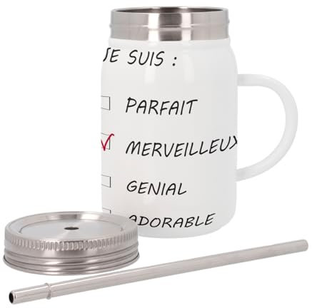 Mug Isotherme en Inox avec Couvercle et Paille - Je suis Merveilleux Cases à Cocher Homme - 500 ml - Tasse Thermo