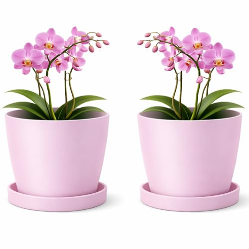 PECZEKO Blomkruka matta, planteringskruka av ytterkruka plast dekorativ kruka för, stora och små växter, set om 2 blomkrukor med underlägg, blomkruka örtkruka, rosa, ø 14 cm