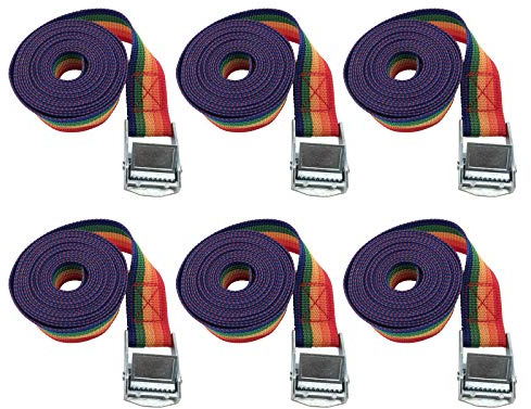 6Pcs Cinchas De Amarre Trinquete Profesional, con Correas con Hebilla Metálica Cincha De Carga, para Portabicis Coche Accesorios Kayak con Carraca Pulpos para Baca (25 mm * 3 m, Colores del Arcoiris)