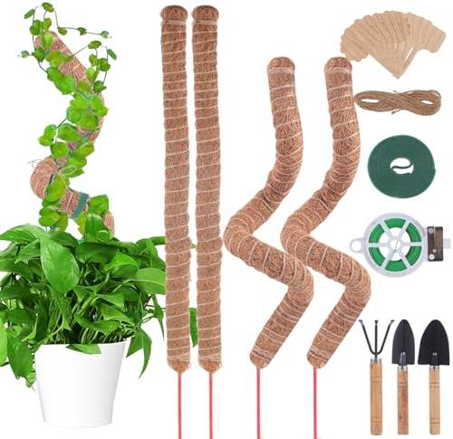 Aotfusd 4 Pcs Tuteur Monstera, Tuteur Plante, 70 cm Aide à l'escalade Monstera pour Plantes bâtons de Plantes Poteaux Plantes grimpantes Extension pour Maison Jardin de Support de Plante (Coco)