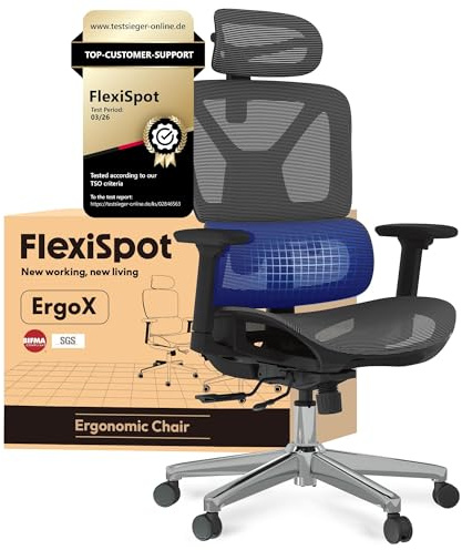 FLEXISPOT Ergonomischer Bürostuhl ErgoX Lite Grau | 3D-Armlehnen, 3D-Kopfstütze, 5D-verstellbare Rückenlehne, Atmungsaktiver Sitz Belastbar bis 136 kg Arbeitsstuhl
