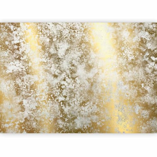 murando PREMIUM Fotomurales Abstracto 300x210 cm Papel pintado