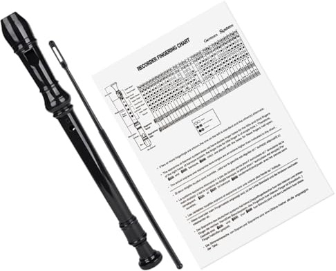 TOYANDONA 8loch Kunststoffblockflöte Mit Löchern Traditionelle Flöte Aus Abs-harz Blasinstrument Mit Reinigungsstab Und Handbuch Langlebig Und Einfach Zu Spielen