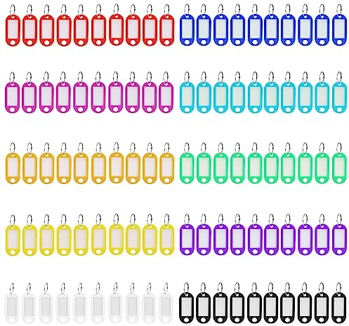 Mkitnvy 100 Stück Schlüsselanhänger, Schlüsselanhänger Mit Schlüsselringen, 10 Austauschbare FarbenSchlüsselschilder Zur Kennzeichnung Verschiedener Gegenstände Wie Schlüssel,Gepäck, Haustiere