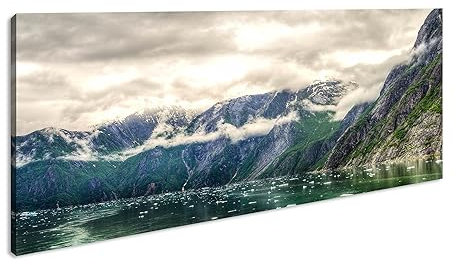 Tracy Arm Fiordo nuvoloso in Alaska Panorama 60 x 30 cm, stampa digitale di alta qualità con cornice