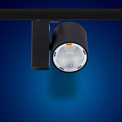 K20B - Foco LED para sistema de raíles (30 W, luz blanca neutra, 3 fases)