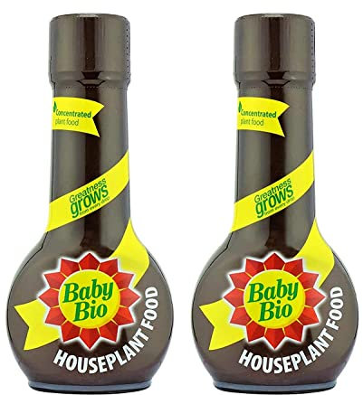 Baby Bio Houseplant Feed 175ml Original plant food - Baby Bio Houseplant Food (Pack of 2 (2 x Houseplant Food 175ml))