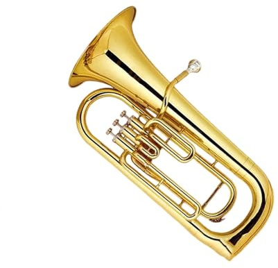 Durch Ihre Aufrechte Bauweise Eignen Sich Tenorhorn Und Euphonium Sowohl Für Anfänger Als Auch Für Erwachsene Anfänger-Euphonium(4)