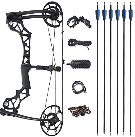 ZSHJG Compound Bogen Set Bogenset für Bogenschießen Verstellbarer Jagd Compoundbogenset 40-60 lbs Katapult Dual Use Stahlkugel mit Komplettes Zubehör Kit (Typ 1)