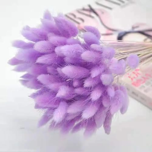 FOSANGPUSHI Fleurs séchées,120 pièces 45 cm Herbe de Pampa séchée Blanche, queues de Lapin queues de Lapin, Fleurs séchées pour décoration intérieure bohème Maison décor de Mariage Violet