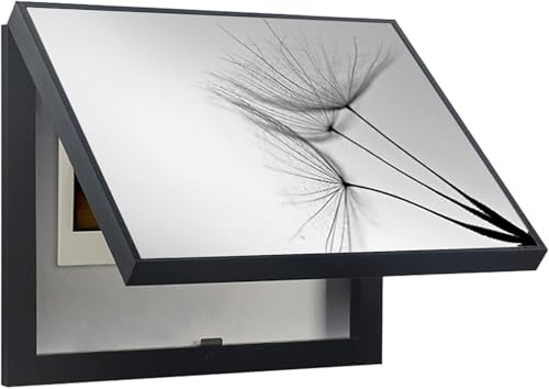 Säkringsskåp Skydd, Säkringsbox lock Skåp dekorativt, elektrisk mätare Säkerhetsbrytare(B)